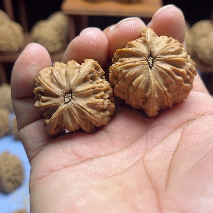 完全开放F*磨盘核桃