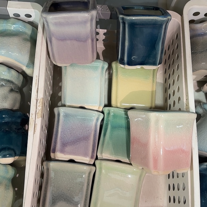 红陶量货｜口高深浅搭配发6