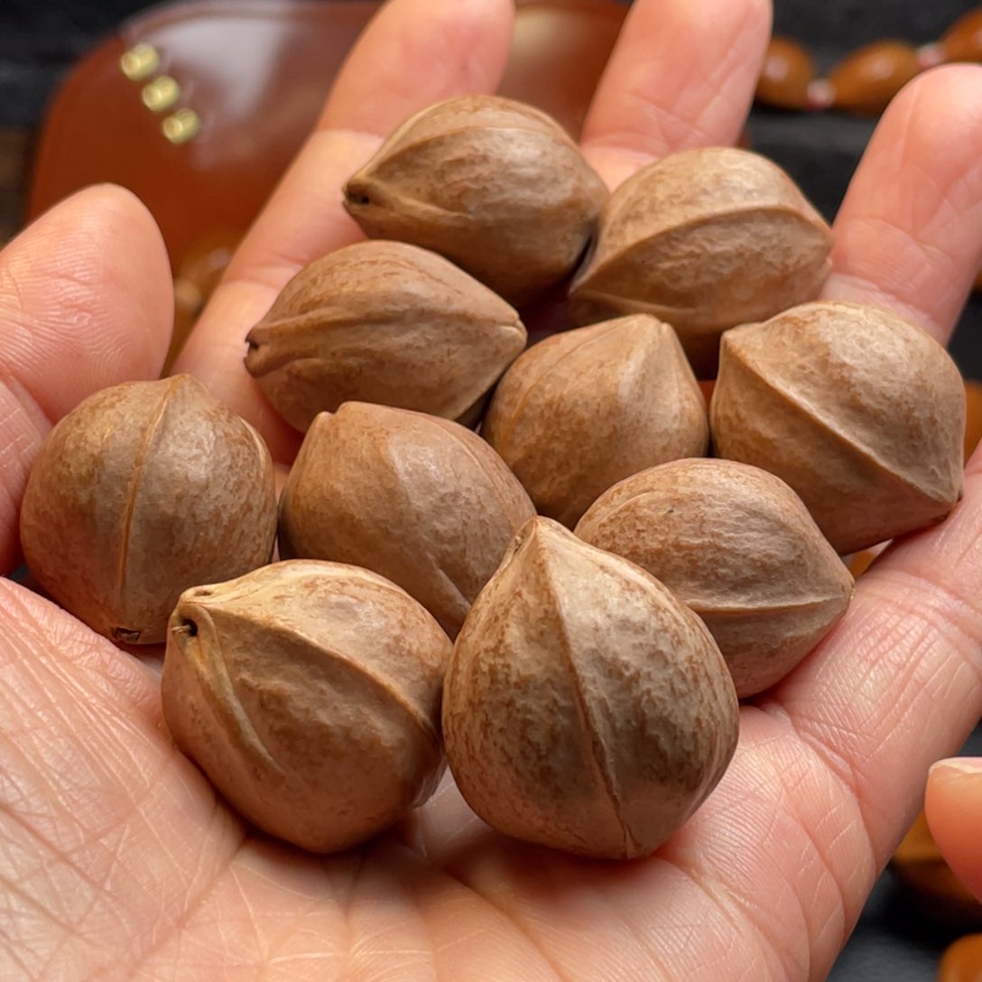 橄榄核手串/手链原生态梅林铁核2.1x2.6