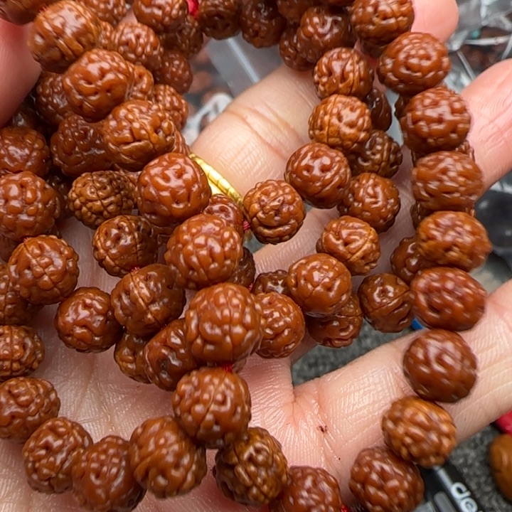 橄榄核吊坠橄榄菜等经济作物