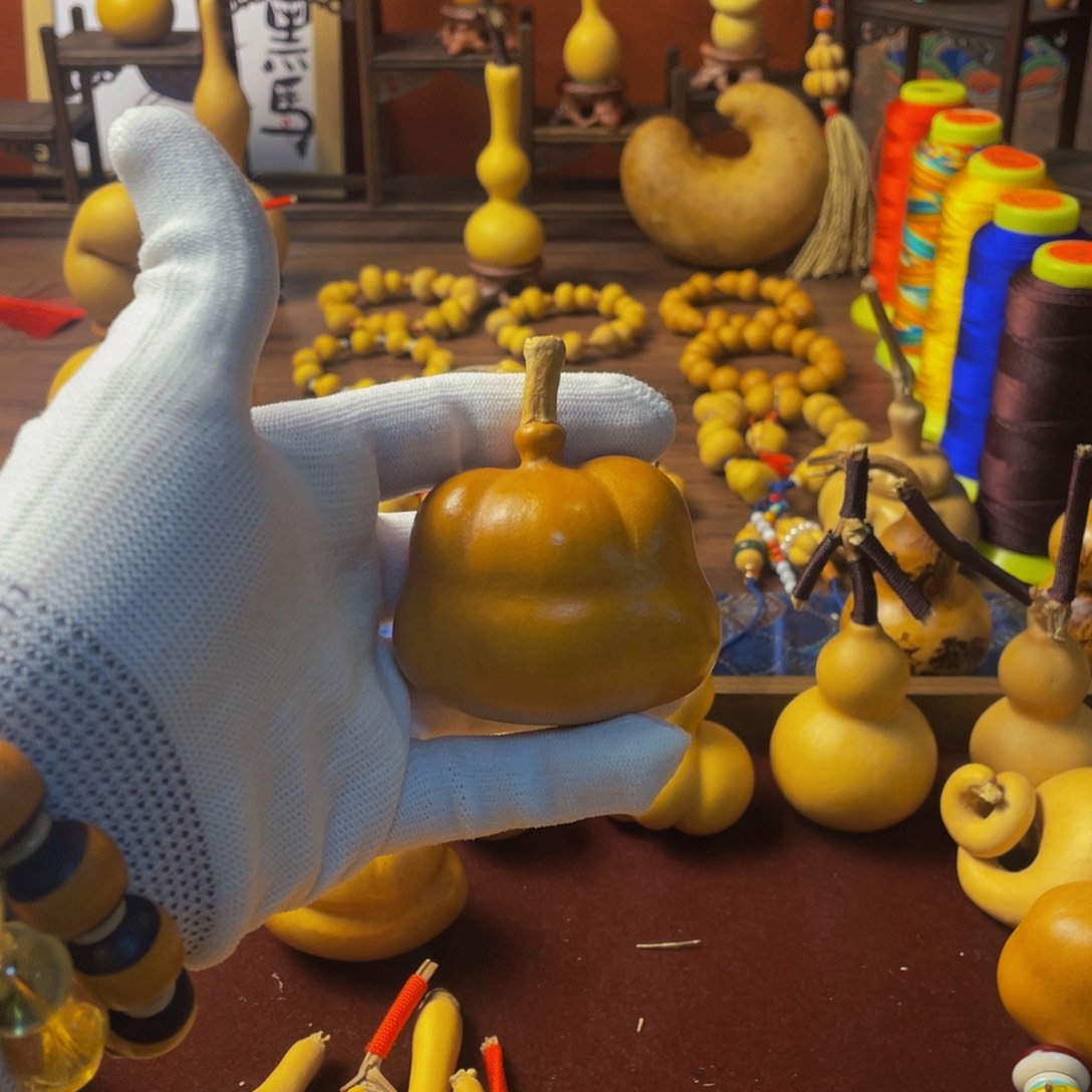 1****阳风刚好回家坎坎坷坷