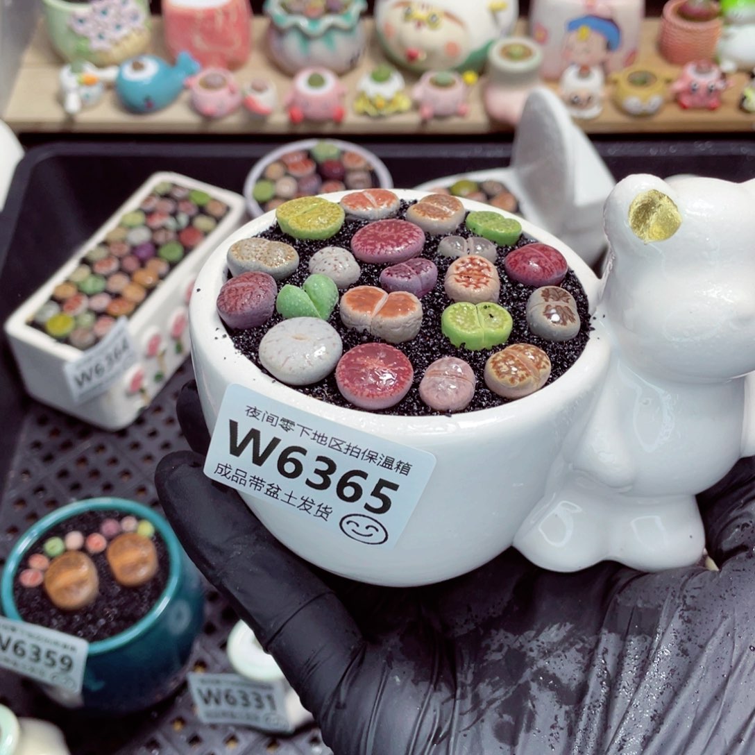 夜间零下地区拍保温箱w6365