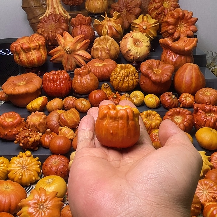 ****羊大叶紫檀（黑酸枝木类）