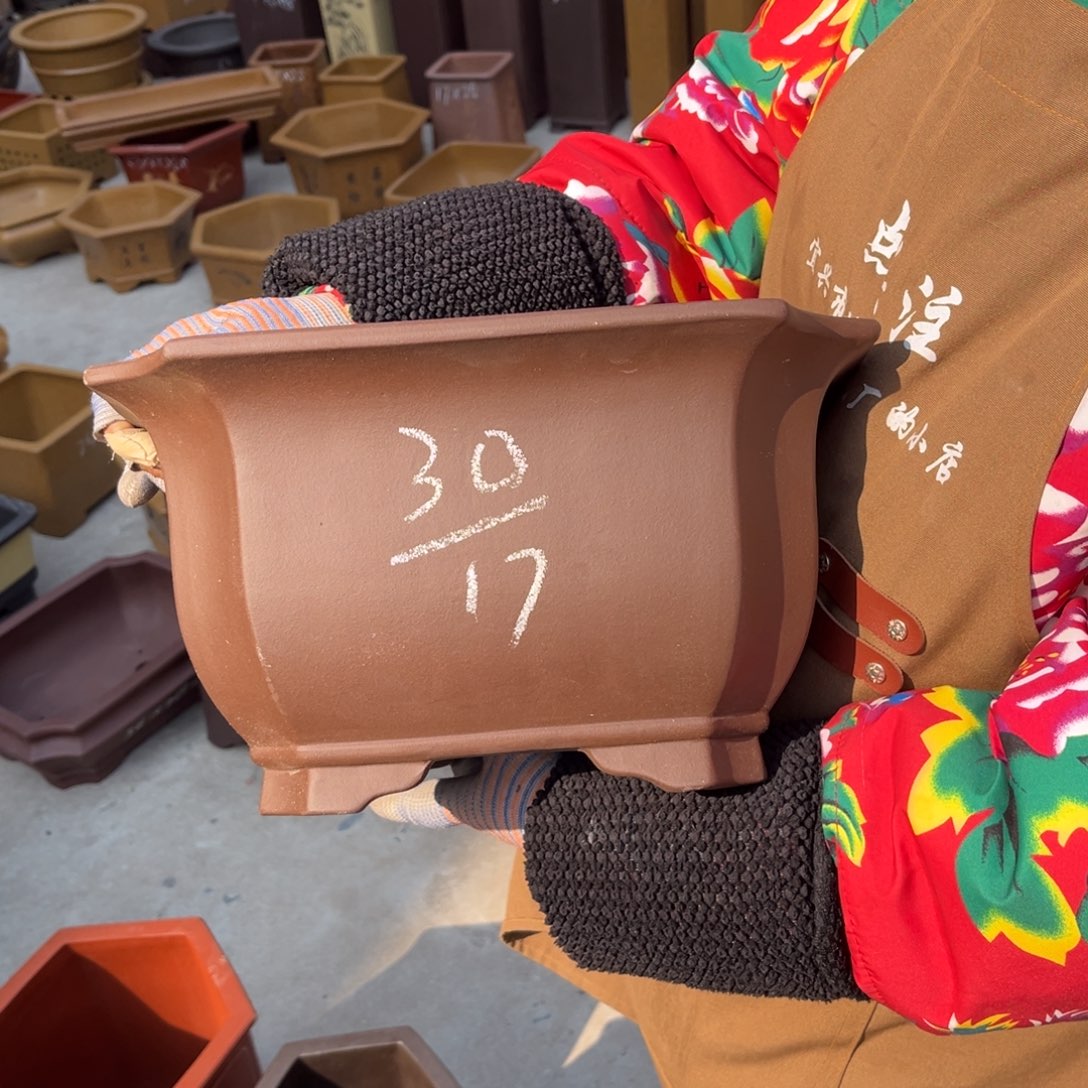 紫砂花盆盆景艺术