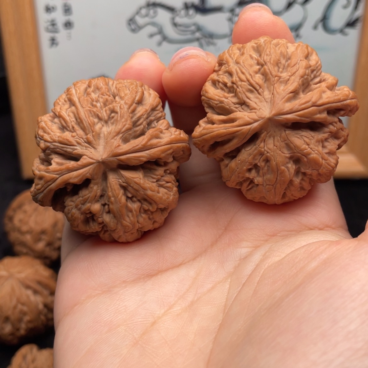 【闪购商品】文玩核桃把件42全品粗筋
