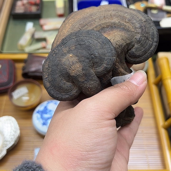 ****进木新店开业福利多多