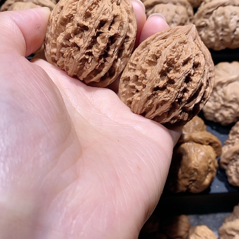 【闪购商品】核桃手串/手链40边九龙筋