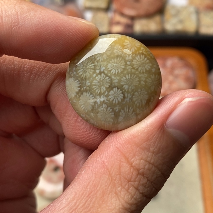 硅化玉颈饰未镶嵌就*样