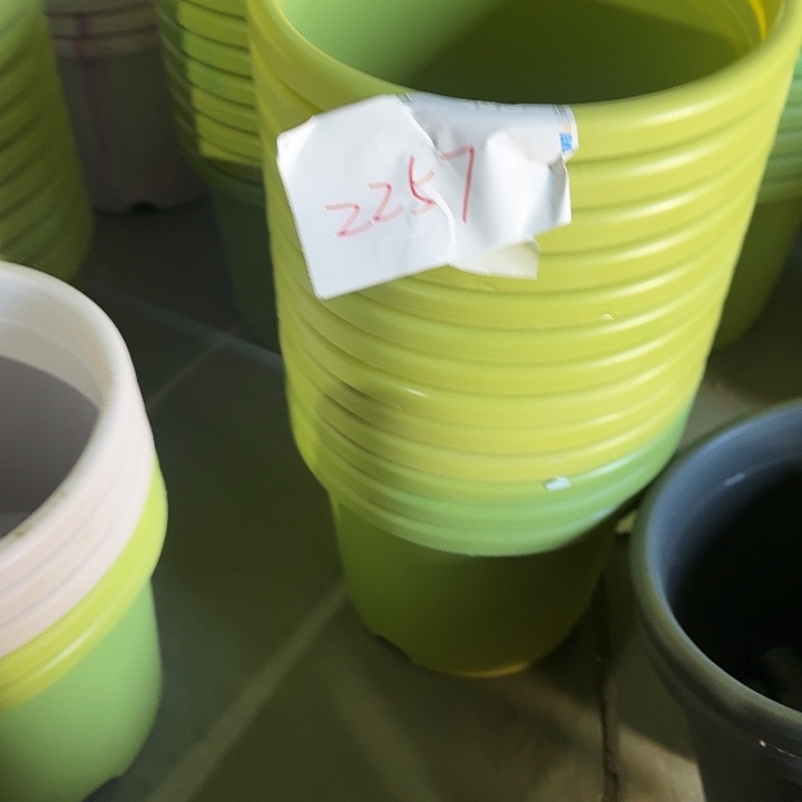 瑕疵5#口径29果绿5个无托2257