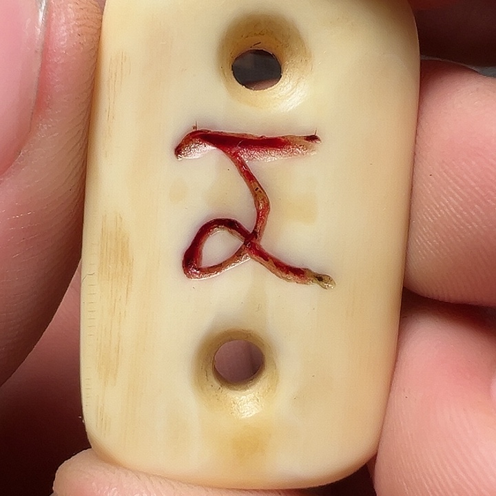 我们都是在这里看到的哈