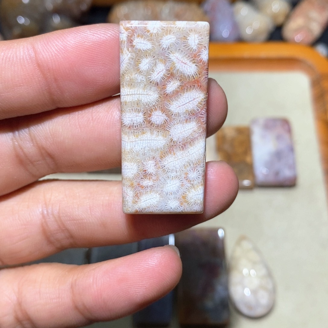 【闪购商品】硅化玉颈饰未镶嵌