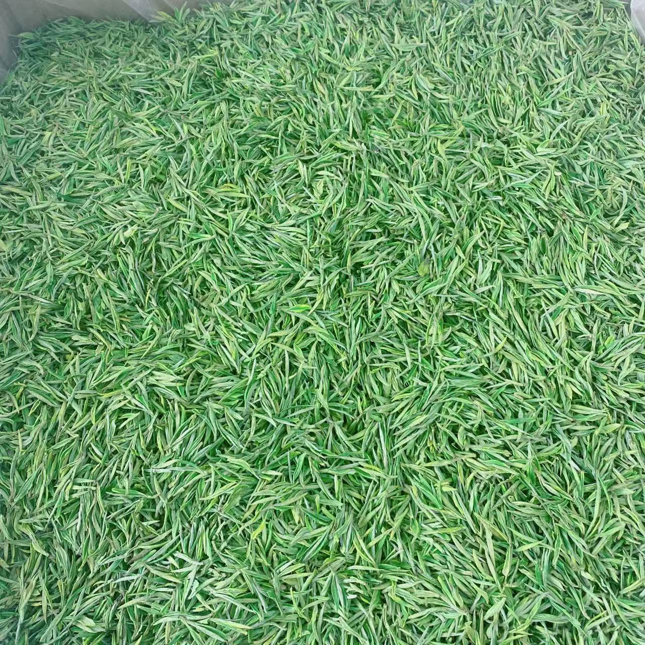 【2025新茶】 大师白茶 