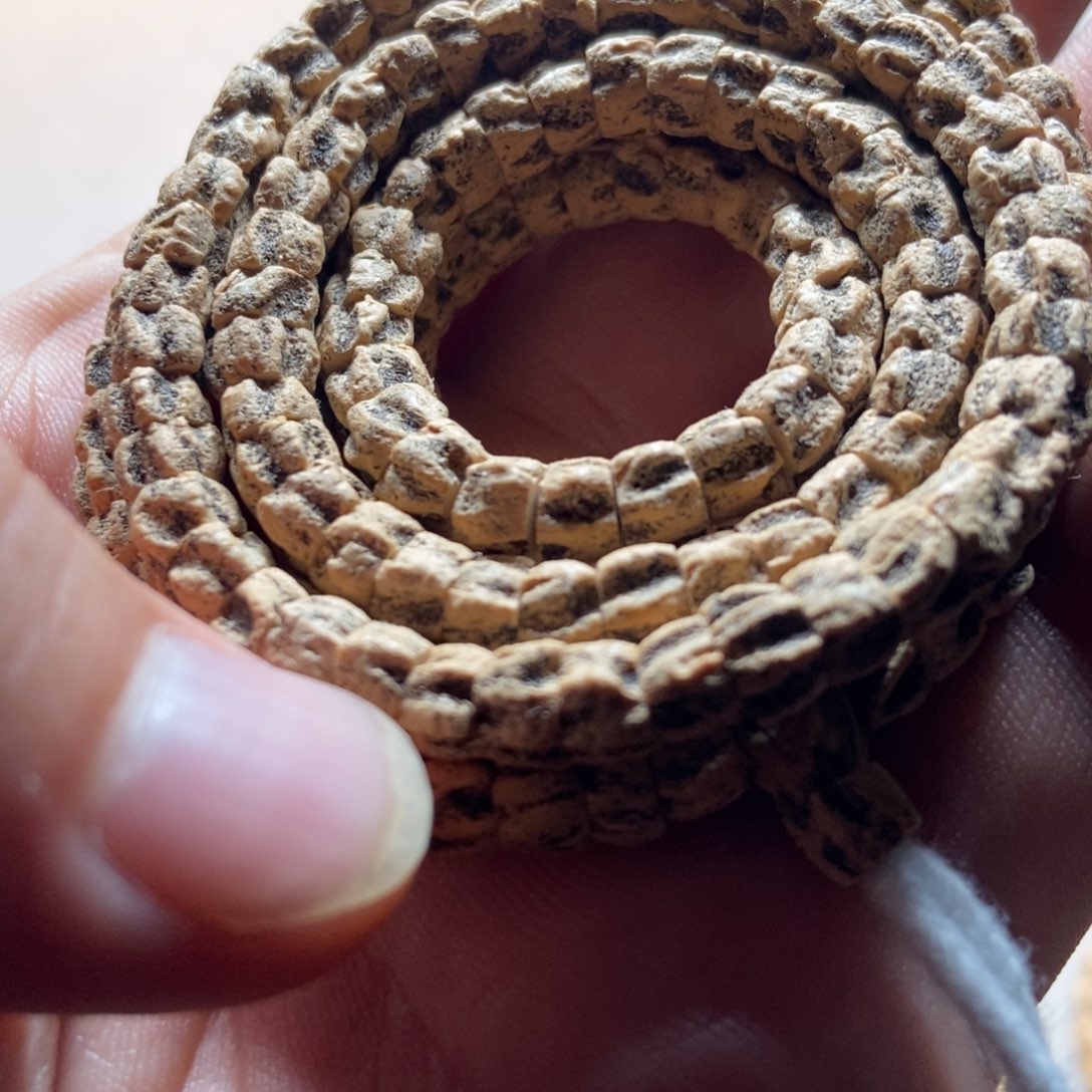 柏香籽/百香籽吊坠卡***。