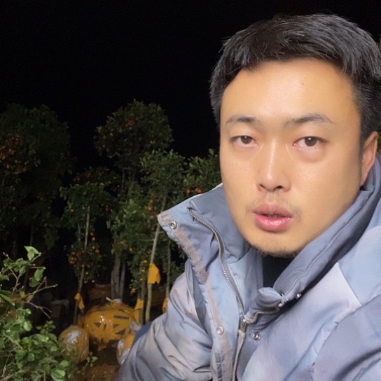 不开花植物金弹子庭院原生品种