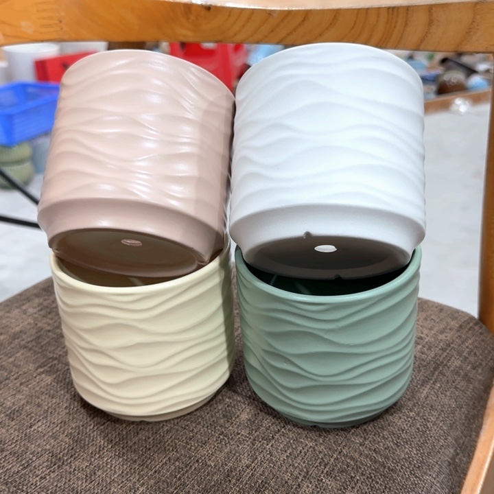 不清楚问客服凑9块包邮，多肉绿植