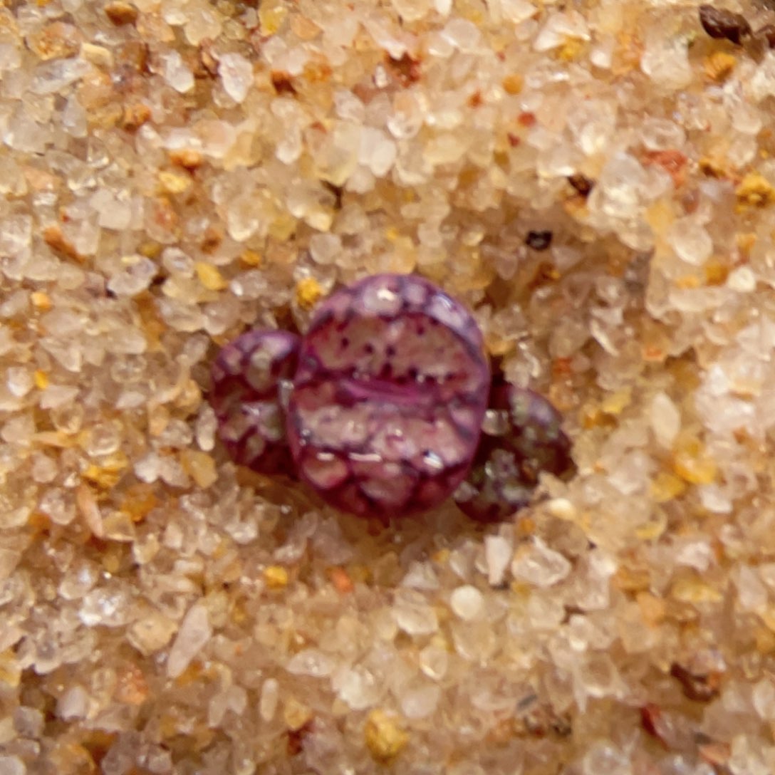 239。88888888888888888