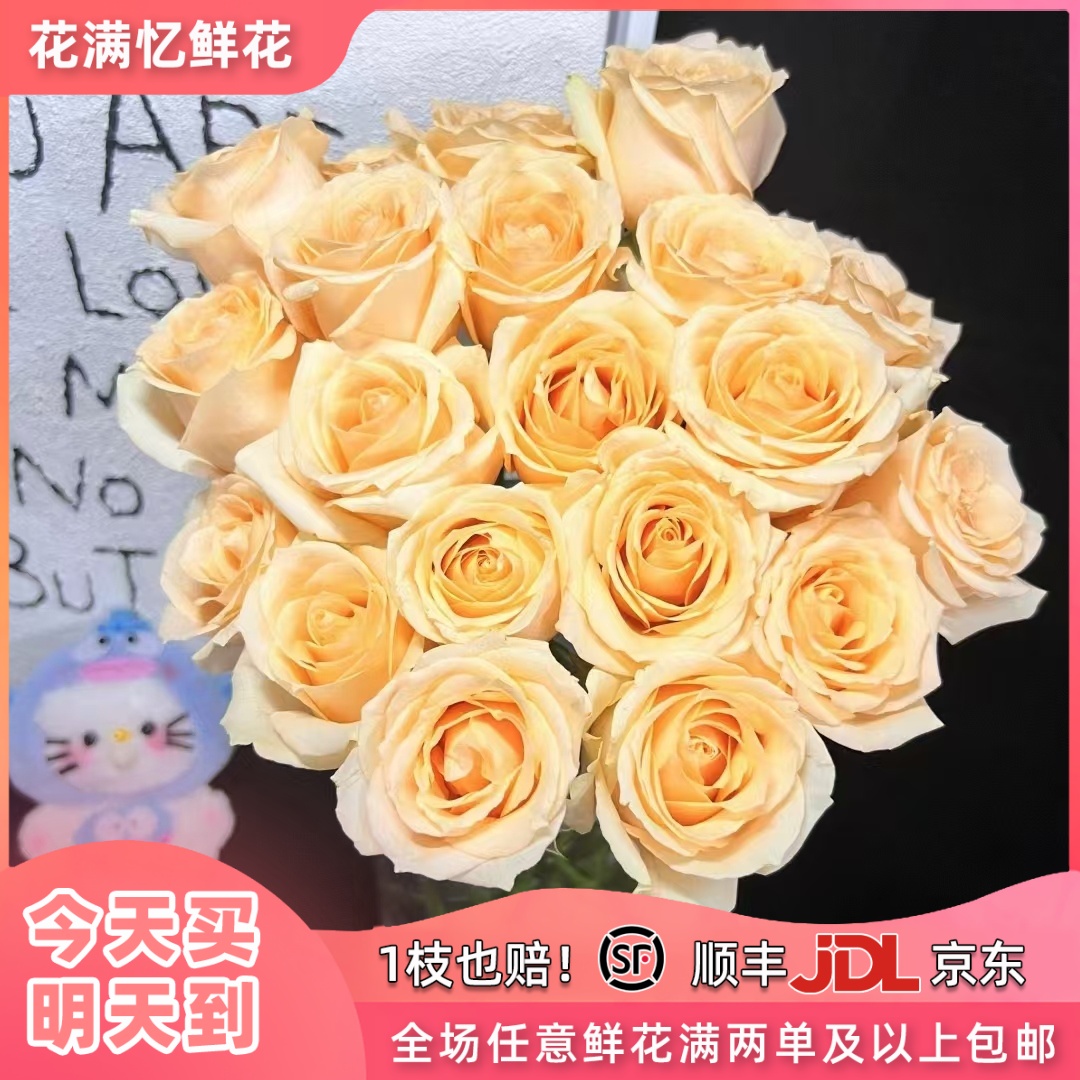 次日达-【蜜桃雪山】10枝单头香槟玫瑰鲜花批发直播任意两单升级顺丰包邮三单送随机花瓶一个今天拍明天到