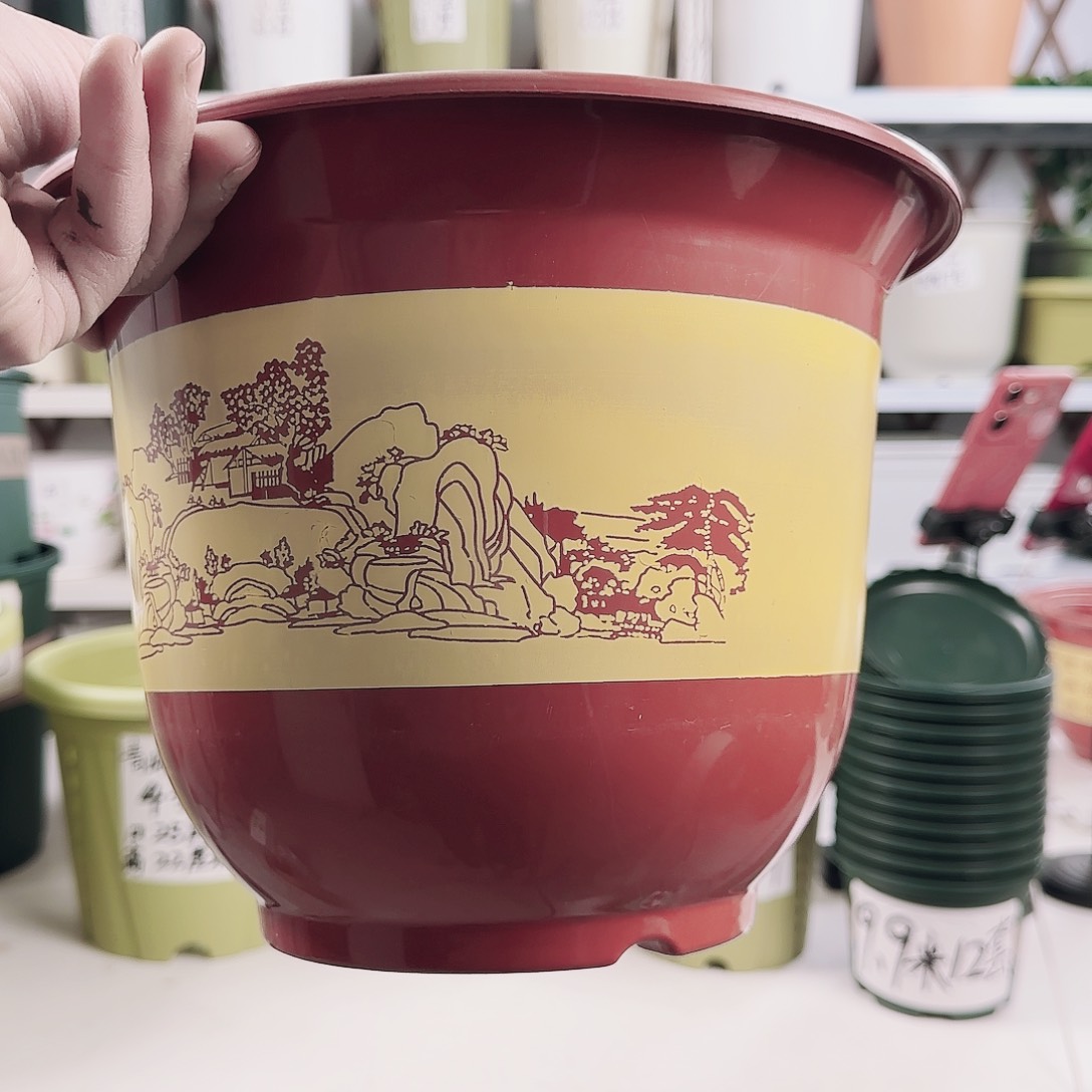 大红盆270型号12个带拖