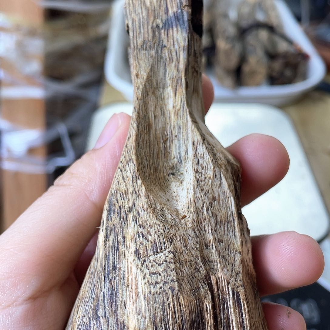 木绿奇楠原材料虫漏36克