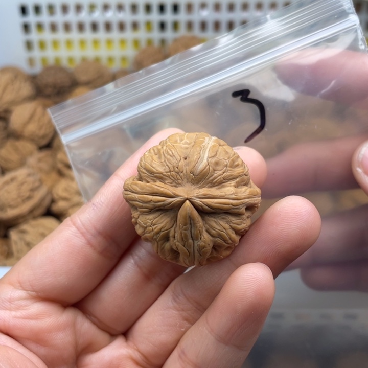 吊坠文玩核桃元宝3