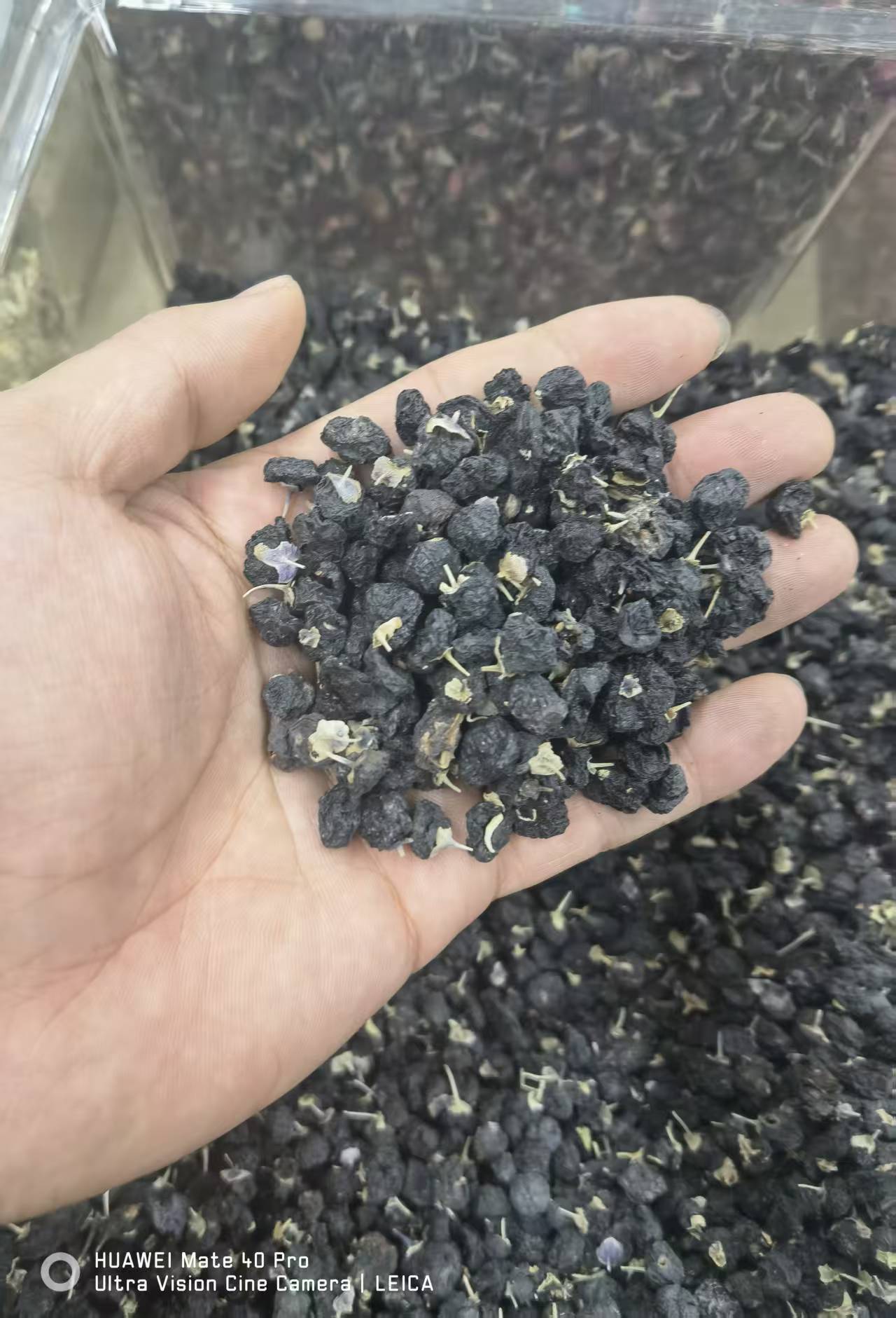 宁夏特级正宗野生黑枸杞干可泡水泡茶养生佳品