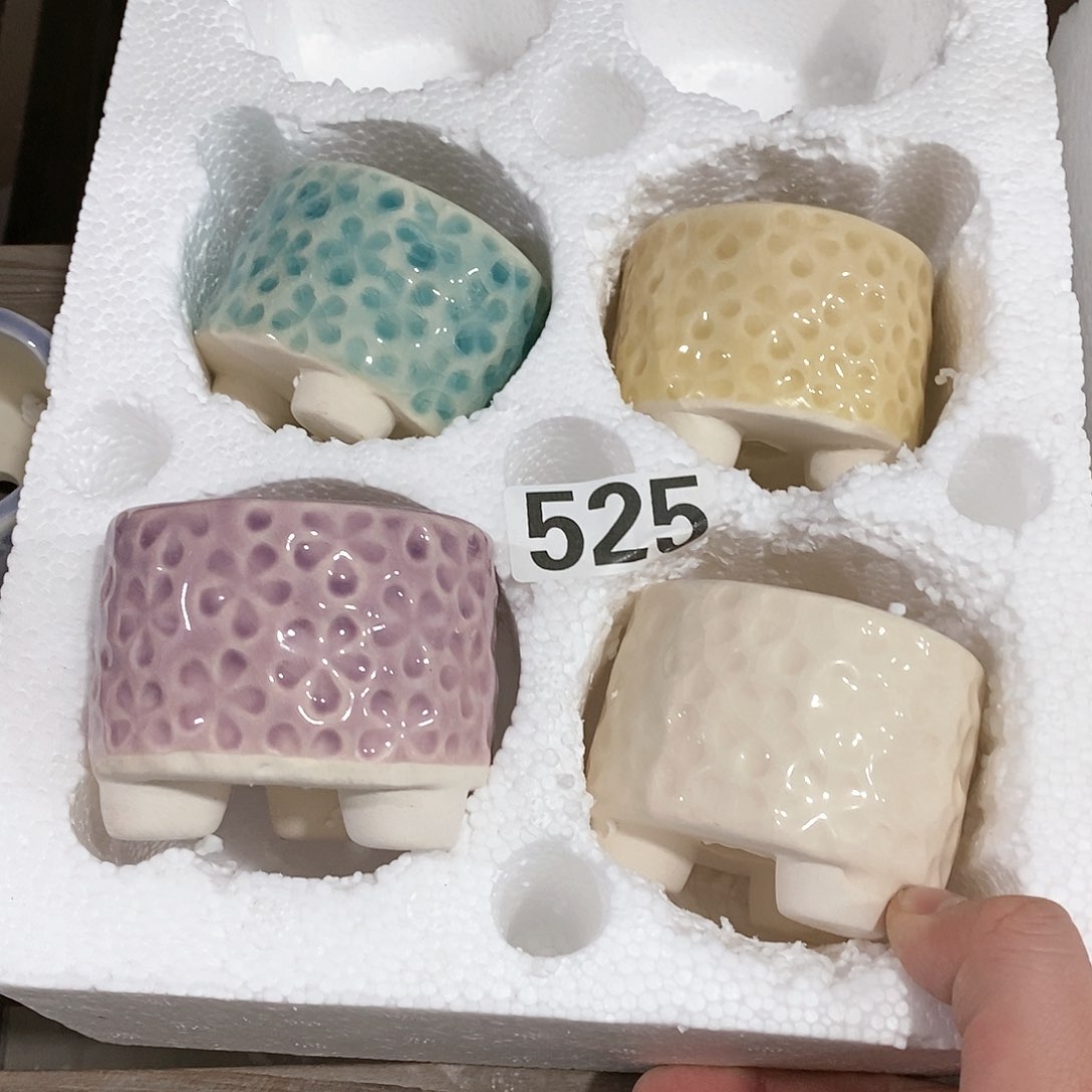 红陶订单凑满12包邮