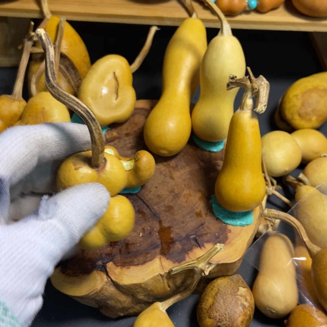 K****X葫芦葫芦真的