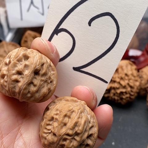 桃核吊坠35门头沟元宝