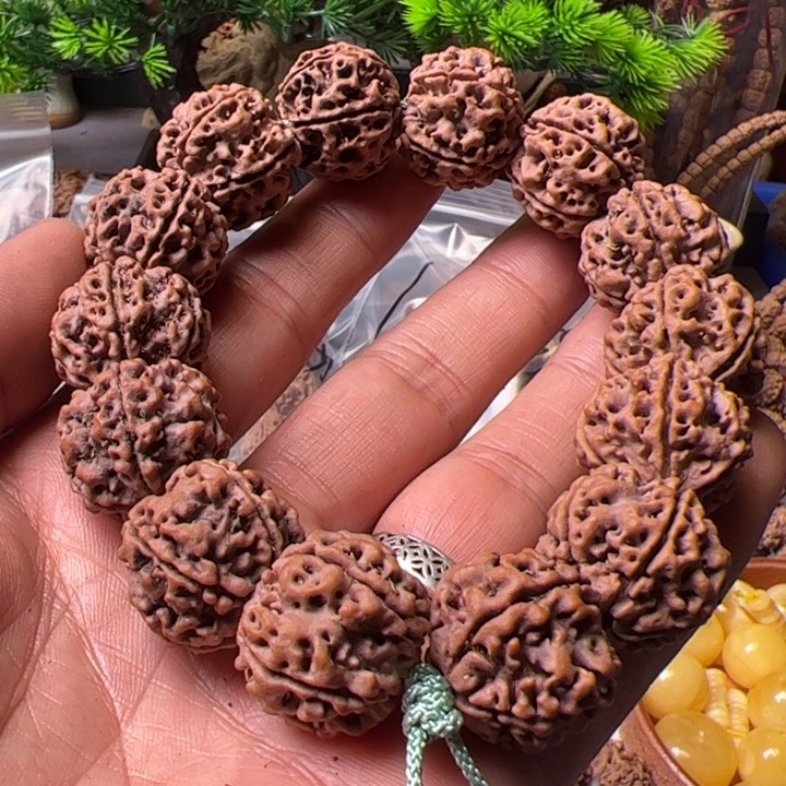 金刚菩提手串21➕大粗筋蜂窝双龙