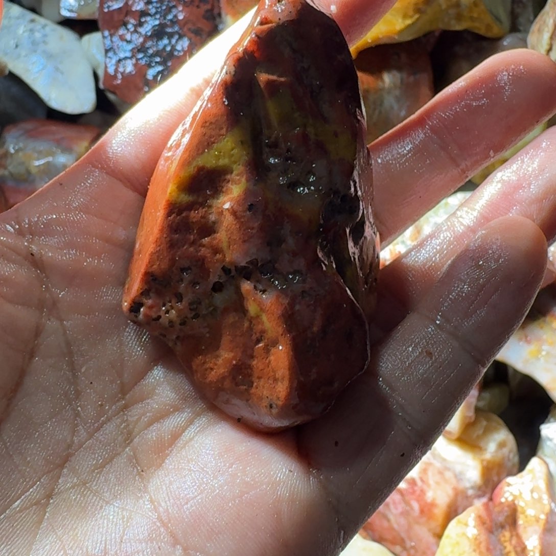 日***晨寿山石7998889998888