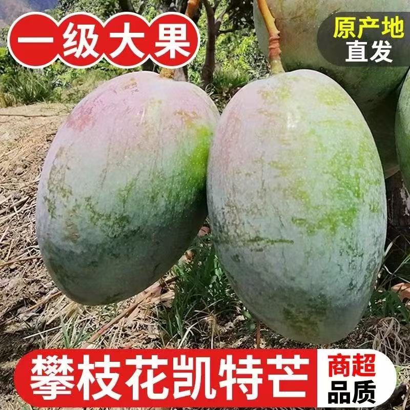 【1攀枝花凯特芒】放软食用大果香甜新鲜酸甜优质新鲜多汁优质精选