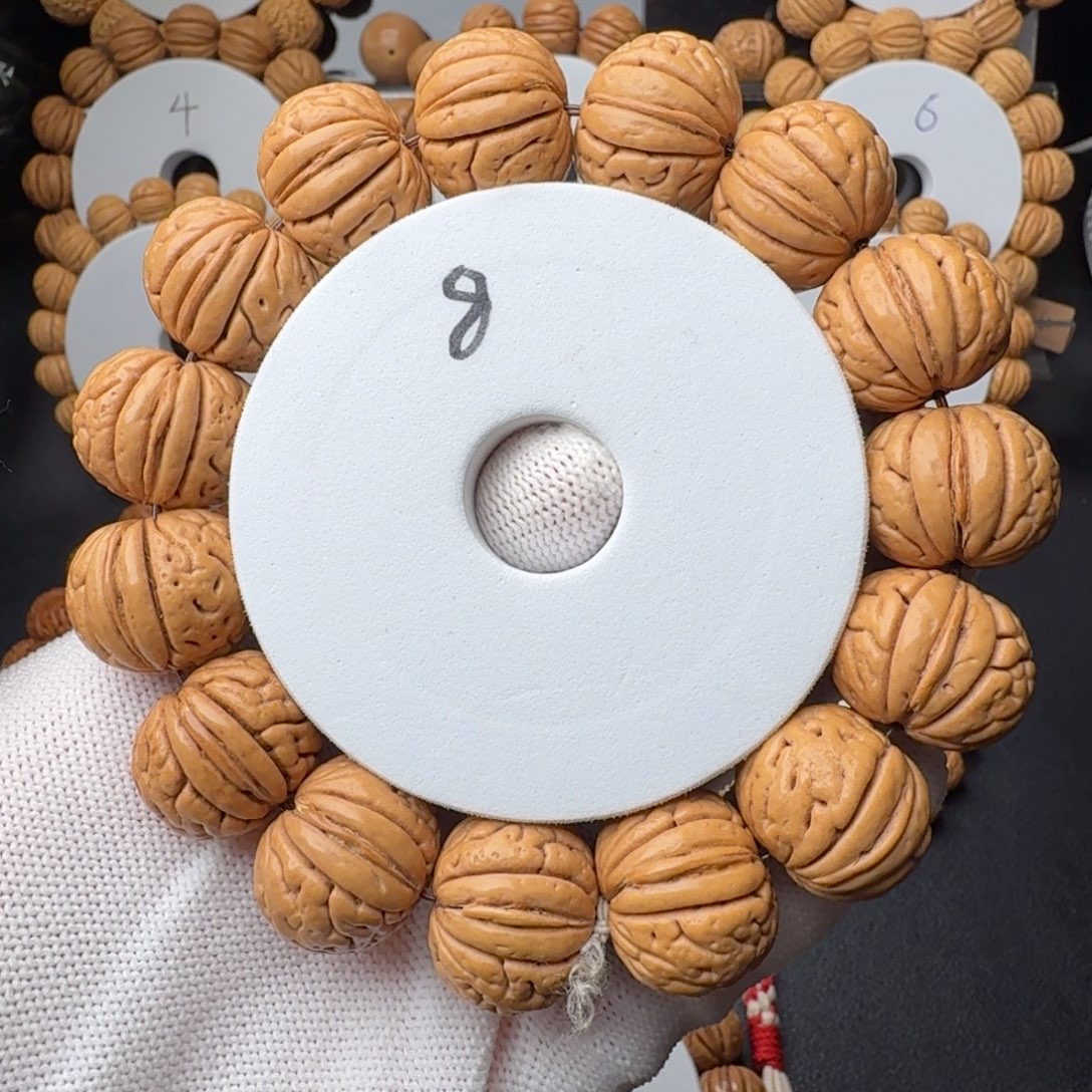 手串桃核金鱼肚同树果