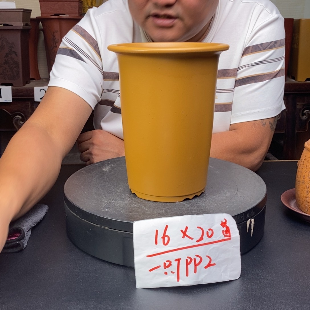 紫砂花盆货号一只TP2