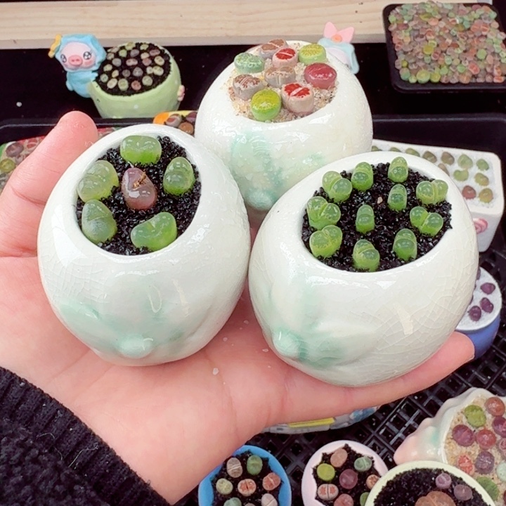 550零下地区记得拍保温箱满18包邮
