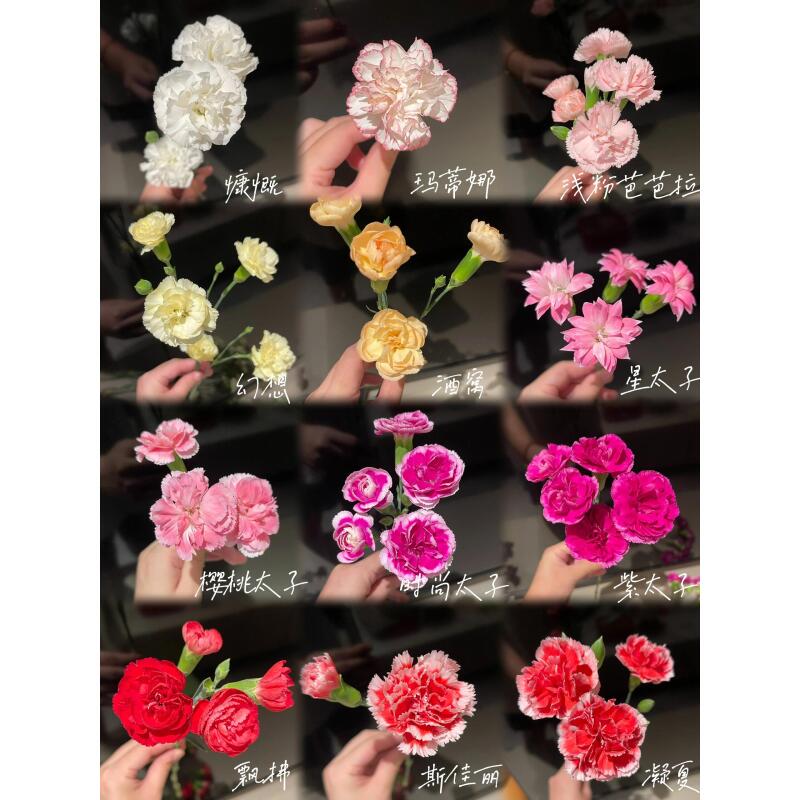 海盛 稀有多丁（两单顺丰）