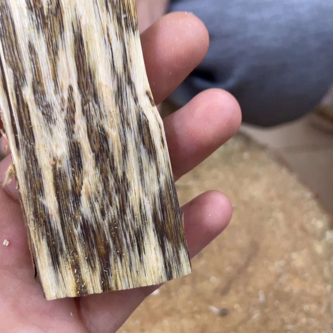 沉香沉香碎屑奇楠沉香文创1 