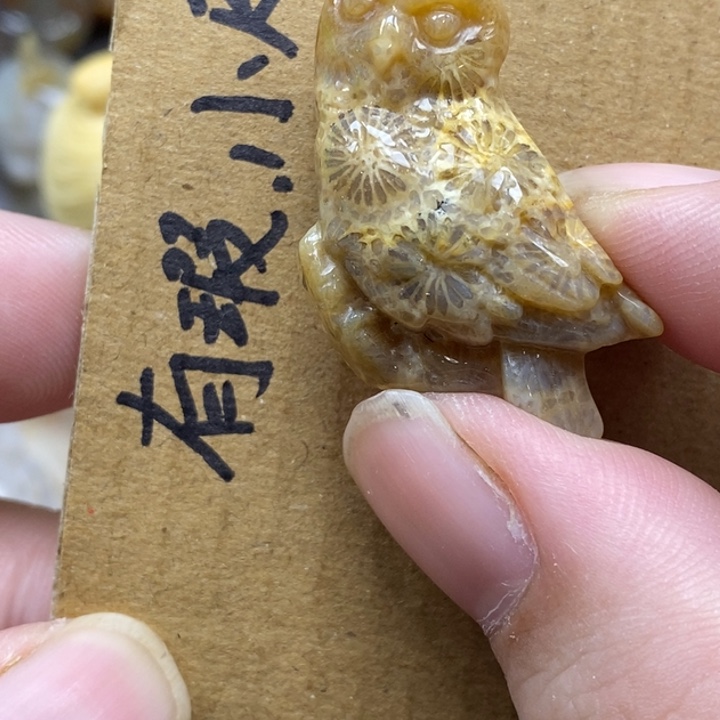 硅化珊瑚（珊瑚玉）未镶嵌颈饰