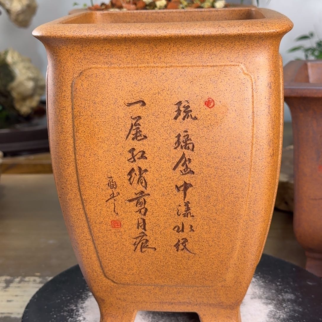 东***生花盆紫砂紫砂花盆