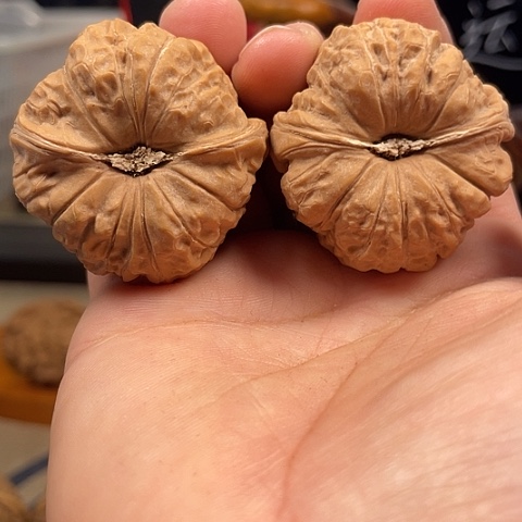 文玩核桃把件社**杂南瓜墩