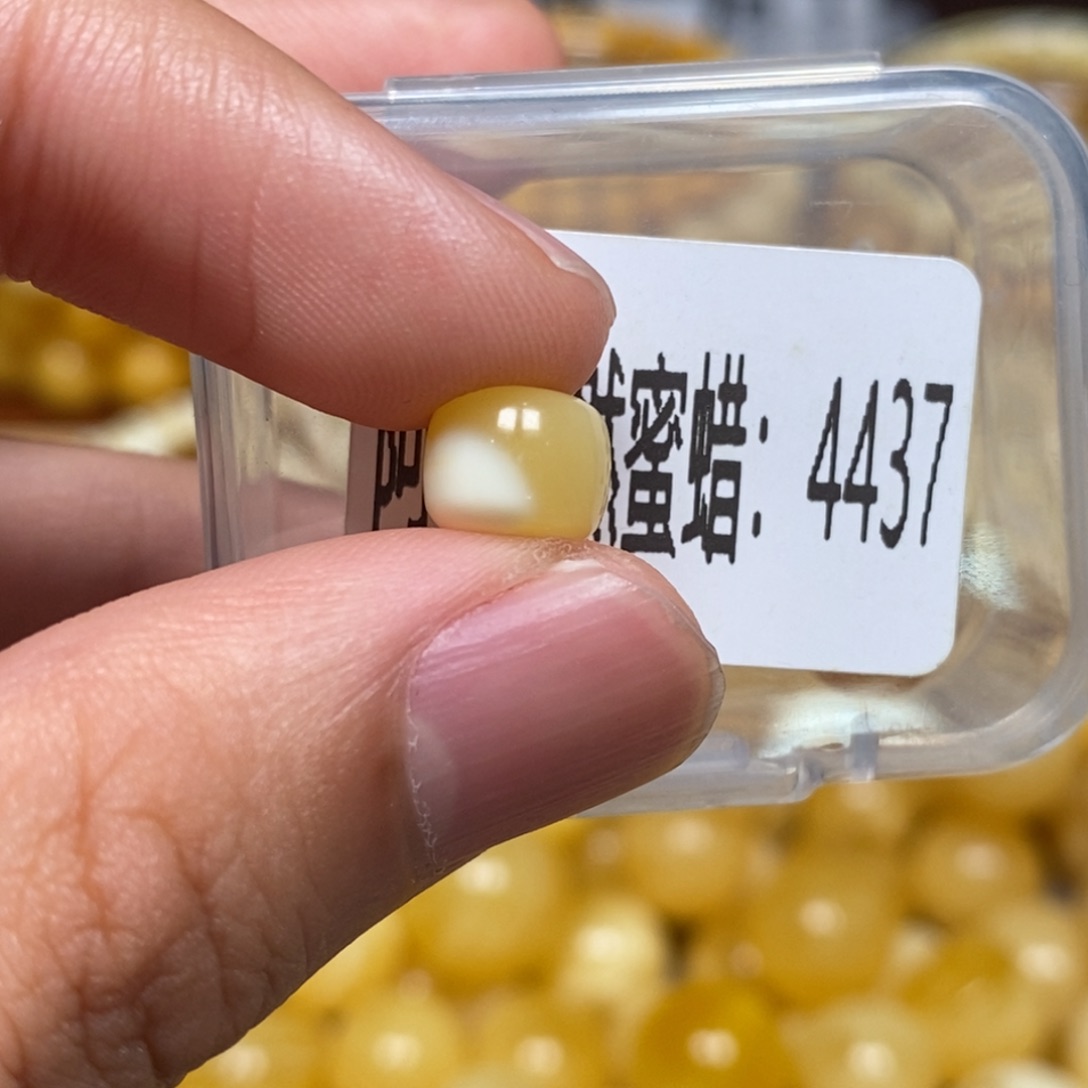 蜜蜡未镶嵌珠宝奇石4437