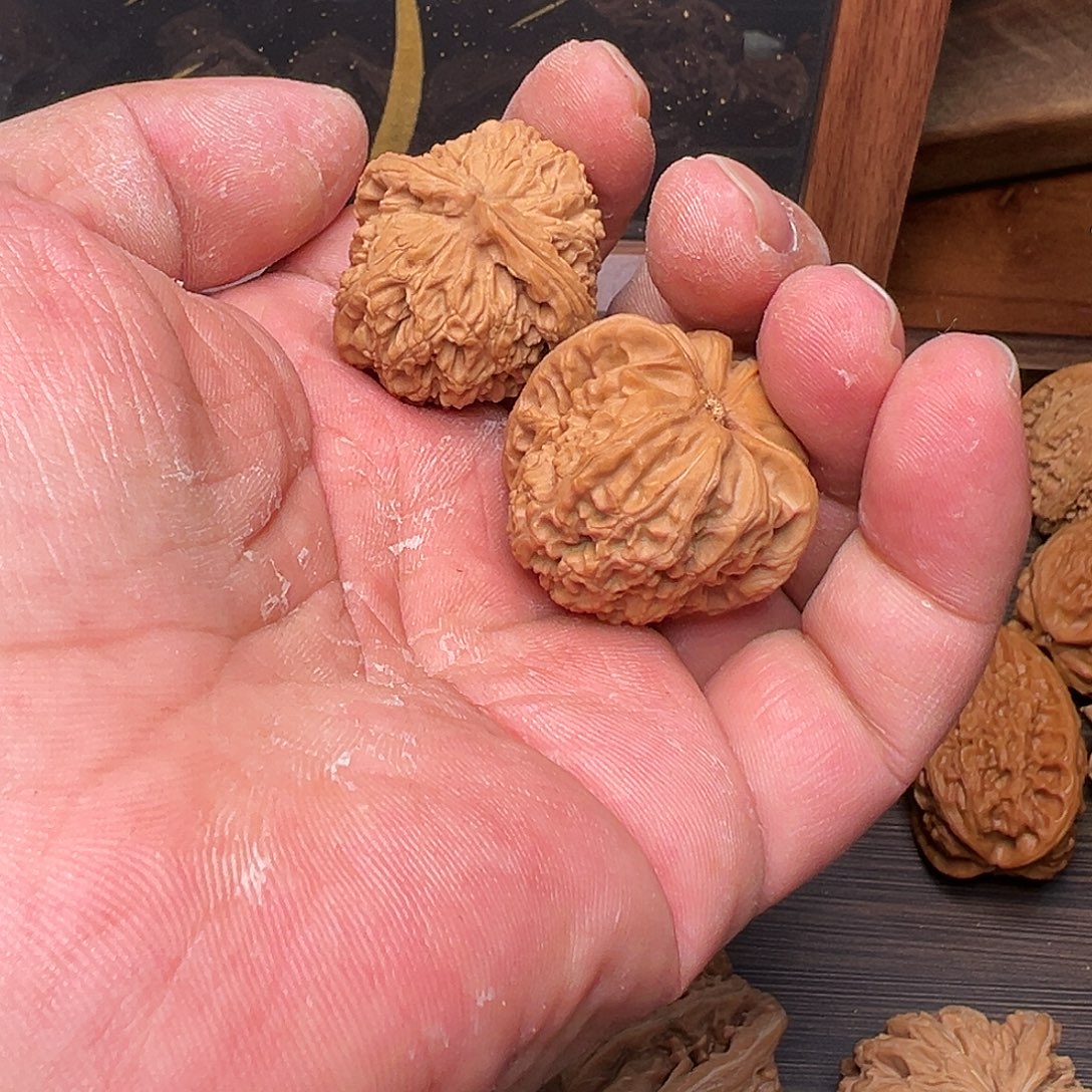 ****核桃把件啊啊啊啊啊啊啊啊啊