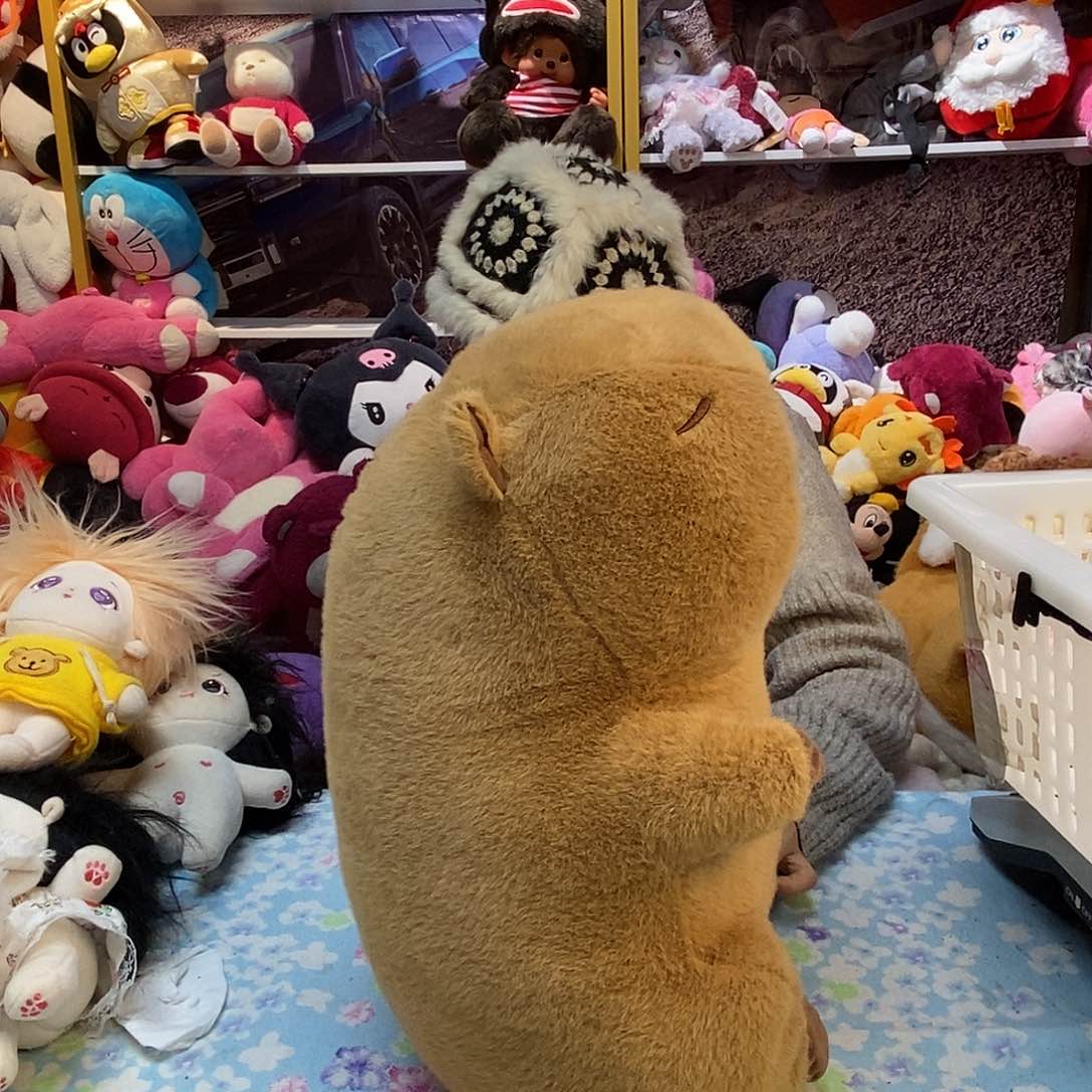 毛绒哈***哈毛绒玩具422