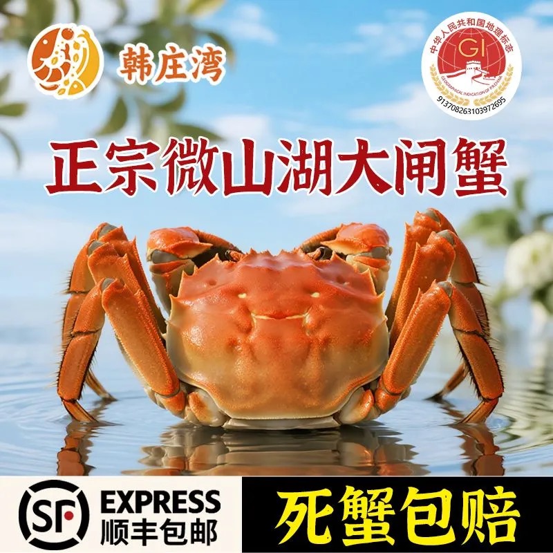韩庄湾【活蟹】微山湖大闸蟹全公蟹3.7-4.0两10只礼盒吃蟹工具