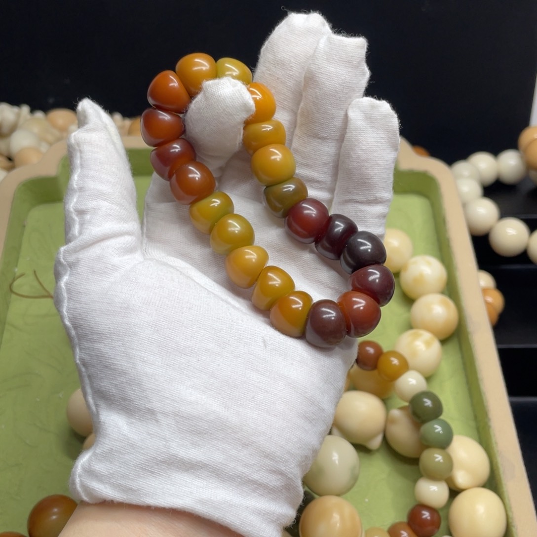 菩提根/象牙果吊坠白*陈13+精工肠790