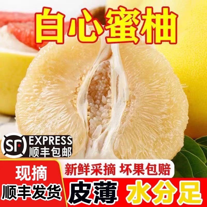 广东梅州白心蜜柚酸酸甜甜脆嫩多汁孕妇水果原产地直发