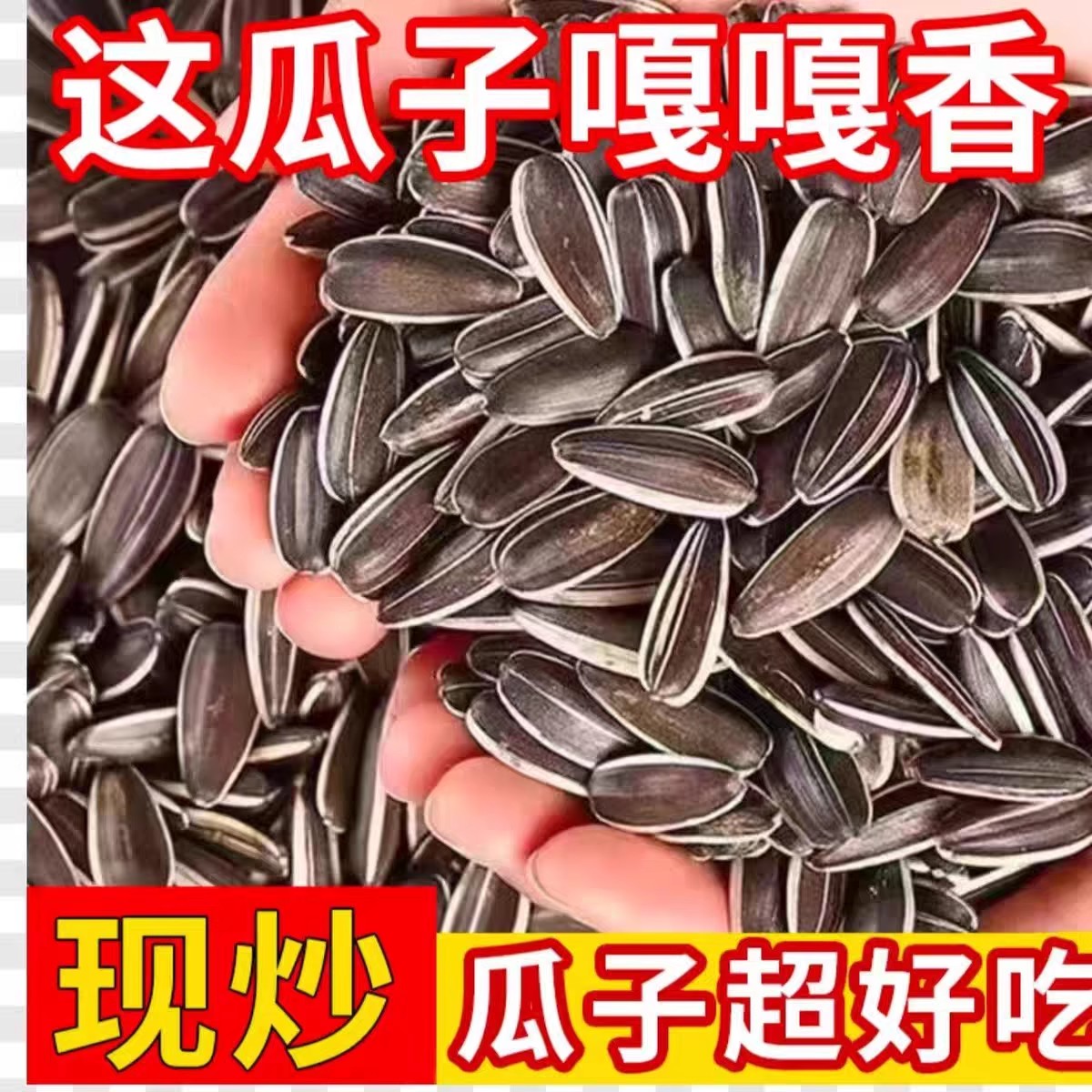 原味瓜子新货现炒葵花子生熟原味瓜子大颗粒散装内蒙古葵花籽