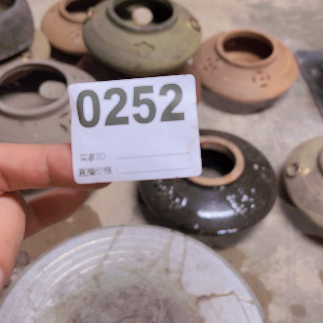 【闪购商品】土陶罐忍****胜252