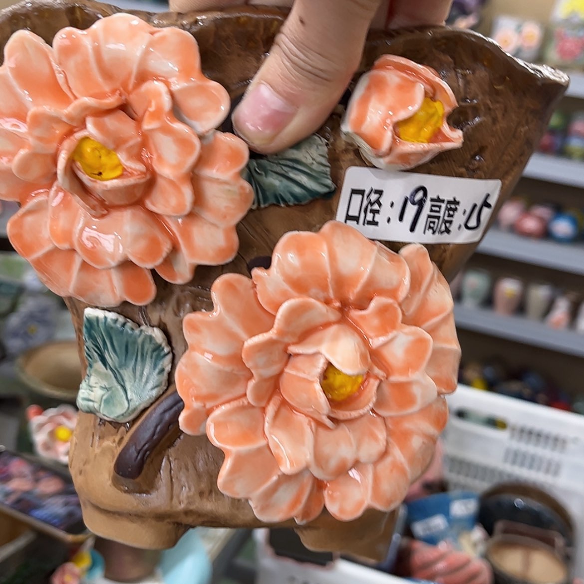 【闪购商品】红陶福利