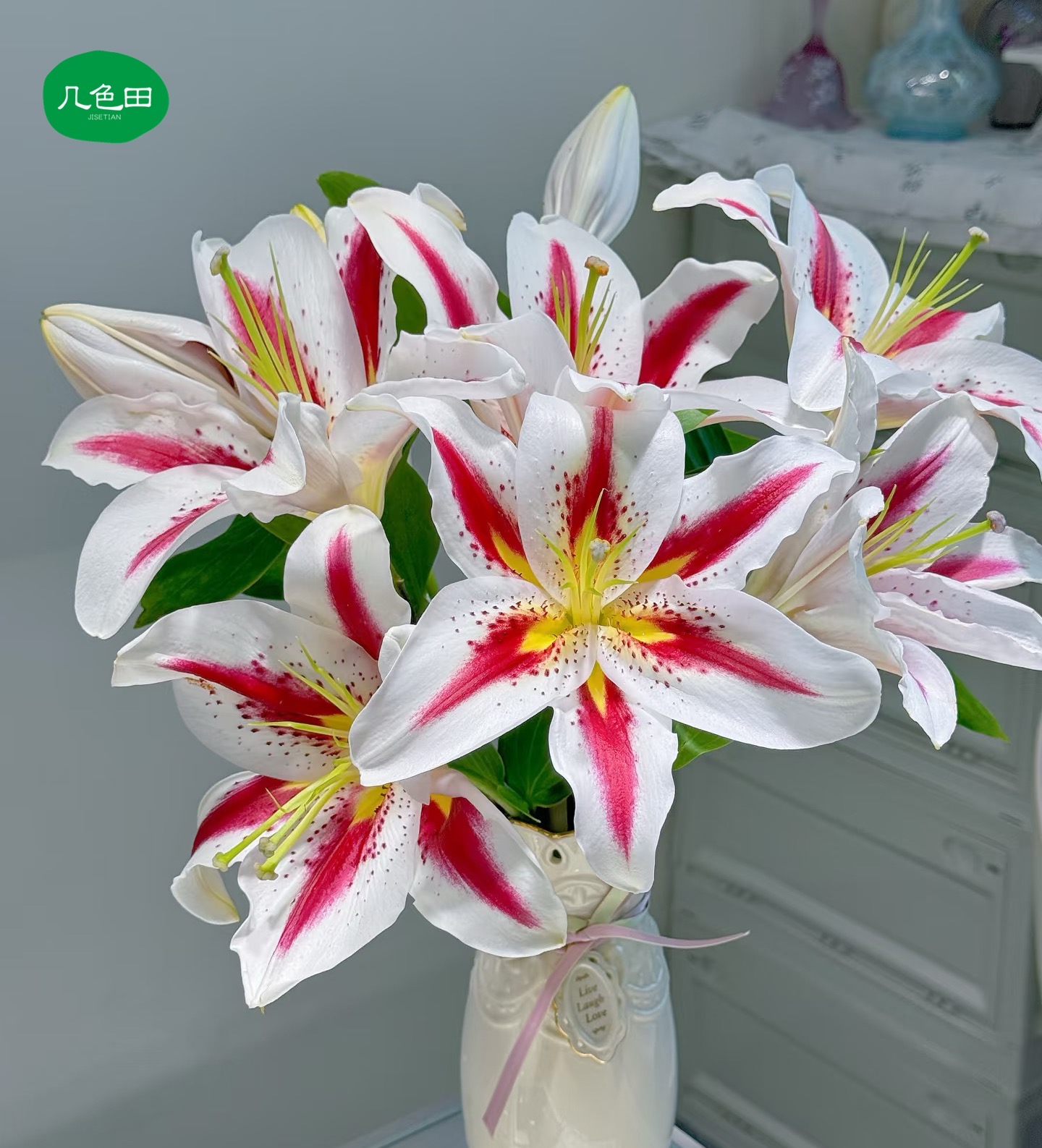 多头笑脸----单瓣百合云南直发鲜花