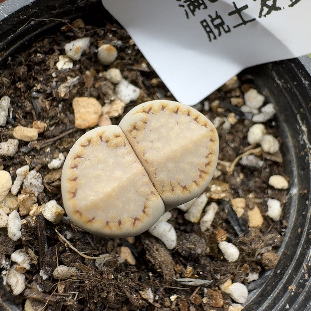 590哈哈哈哈哈哈哈哈哈